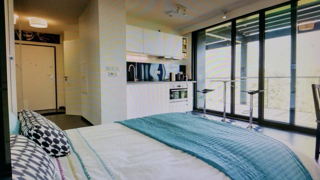 Studio Avec Terrace Docks Страсбург Екстер'єр фото
