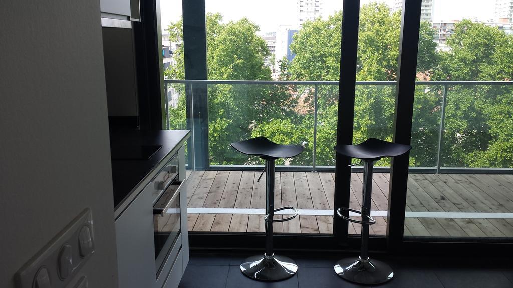 Studio Avec Terrace Docks Страсбург Екстер'єр фото